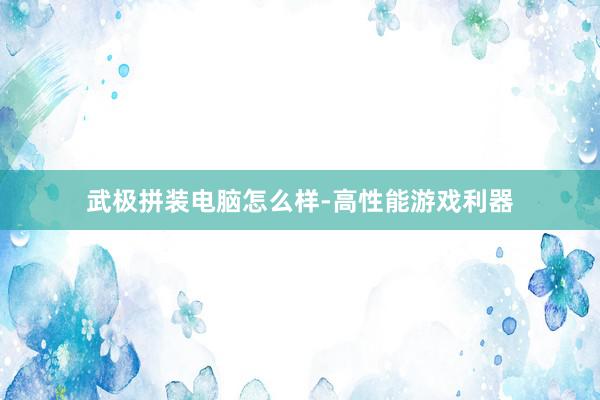 武极拼装电脑怎么样-高性能游戏利器